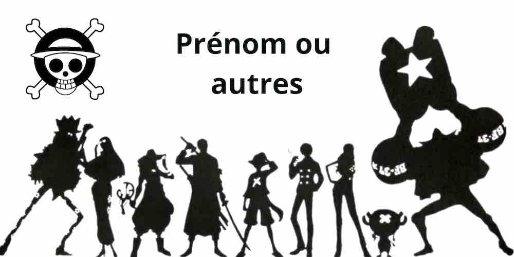 Exemple de personnalisation One Piece