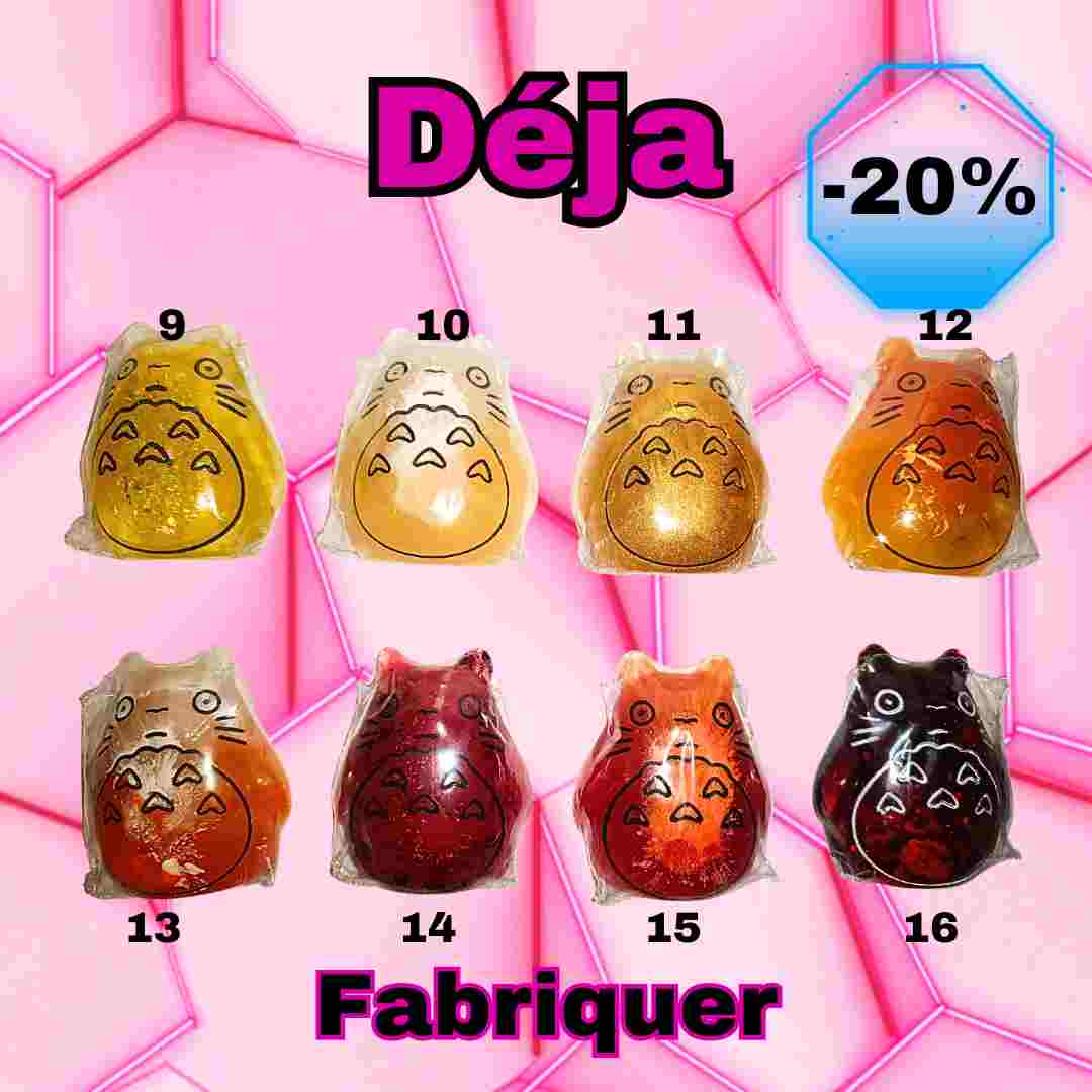 Totoro (Déjà fabriqué)